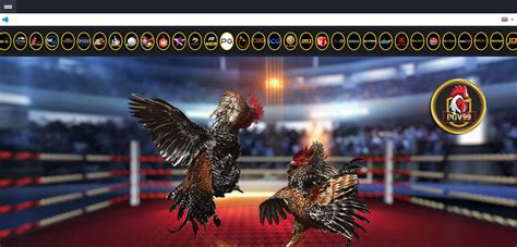 betx12 net register online